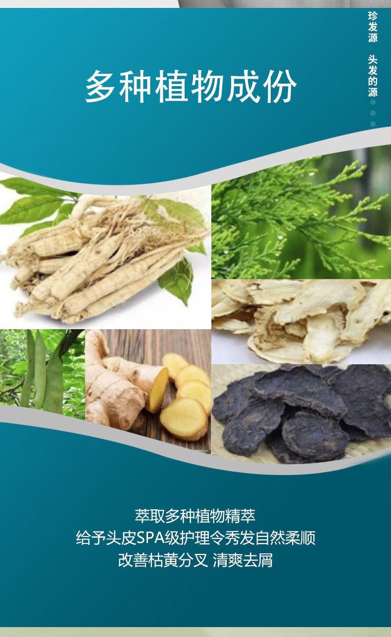 Zhenfayuan Gardenie Shampoo, Ölkontrolle und glatte Haare