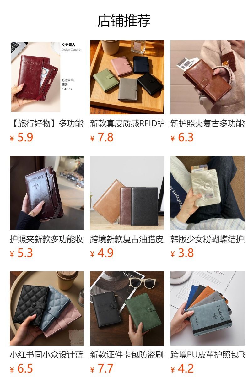 Zippered Passport Holder, Travel Document Organizer