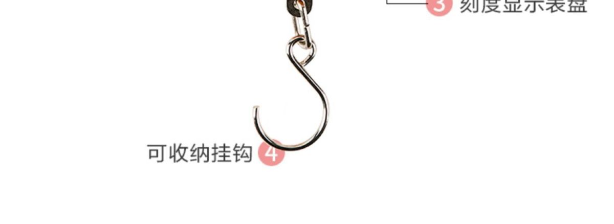 High Precision Portable Spring Scale, Pocket Size