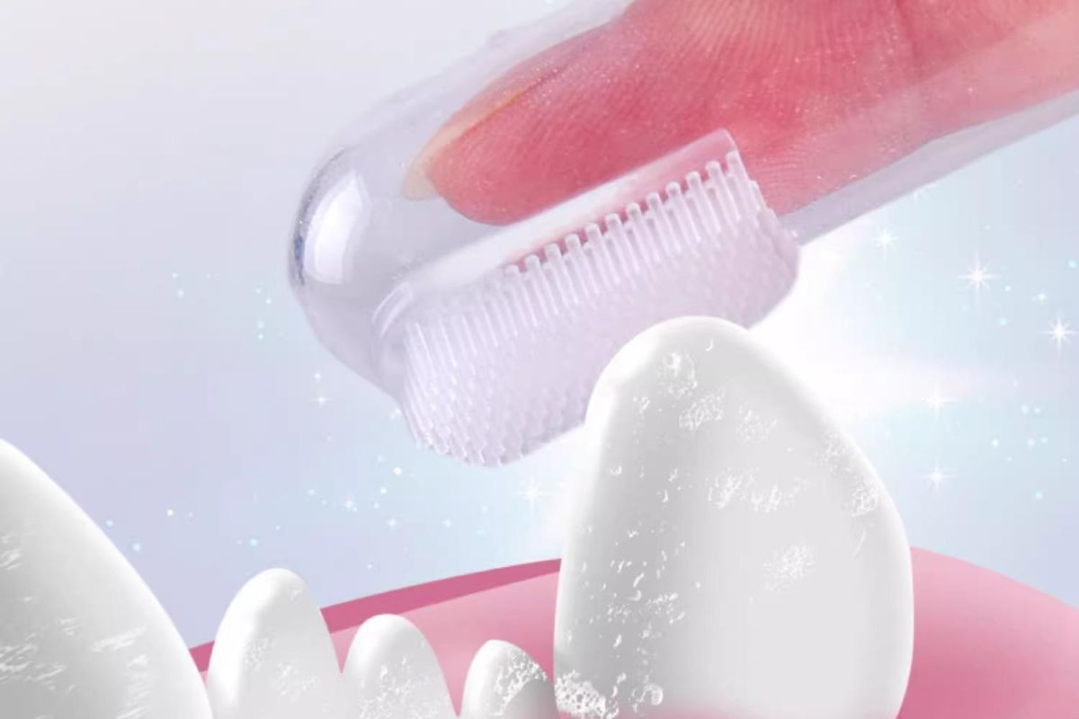 Pet Toothbrush Finger Brush and Toothpaste Set