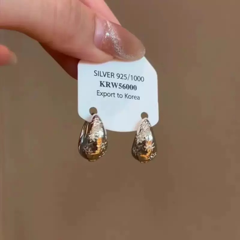 S925 Silver Hoop Earrings for Women