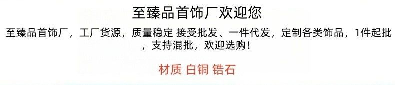 项链女款莫比乌斯环白铜锆石锁骨链轻奢小众生日礼物现货
