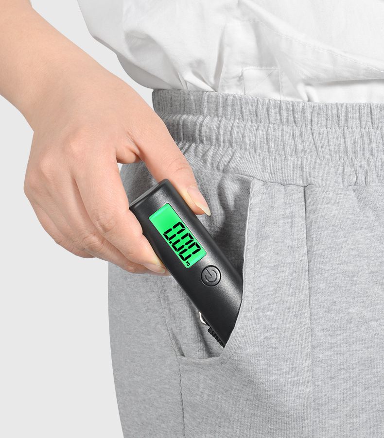 Portable Luggage Scale with Hook, High Precision