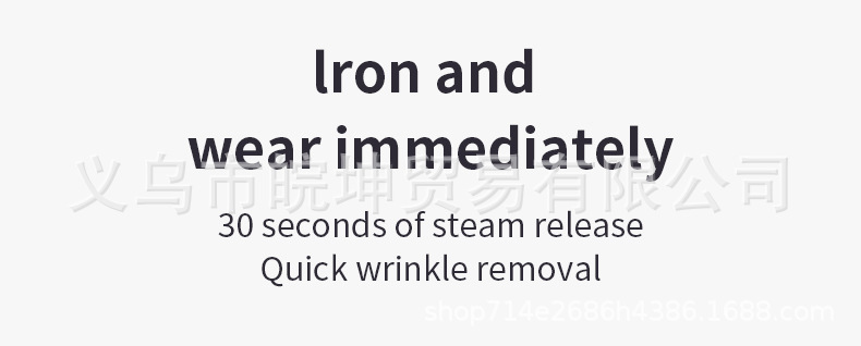 Handheld garment steamer, touch screen, vertical iron function