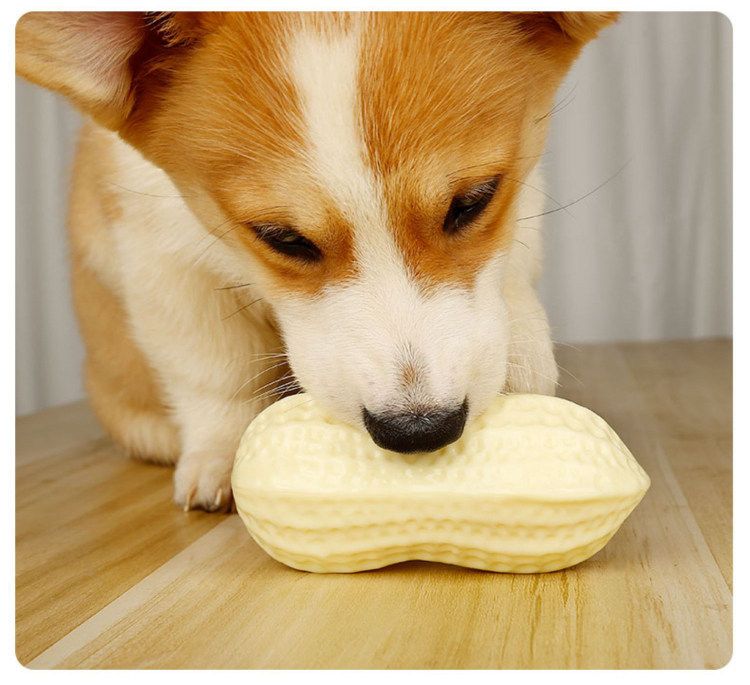 Köpek sesli oyuncağı, PVC fıstık, Corgi için