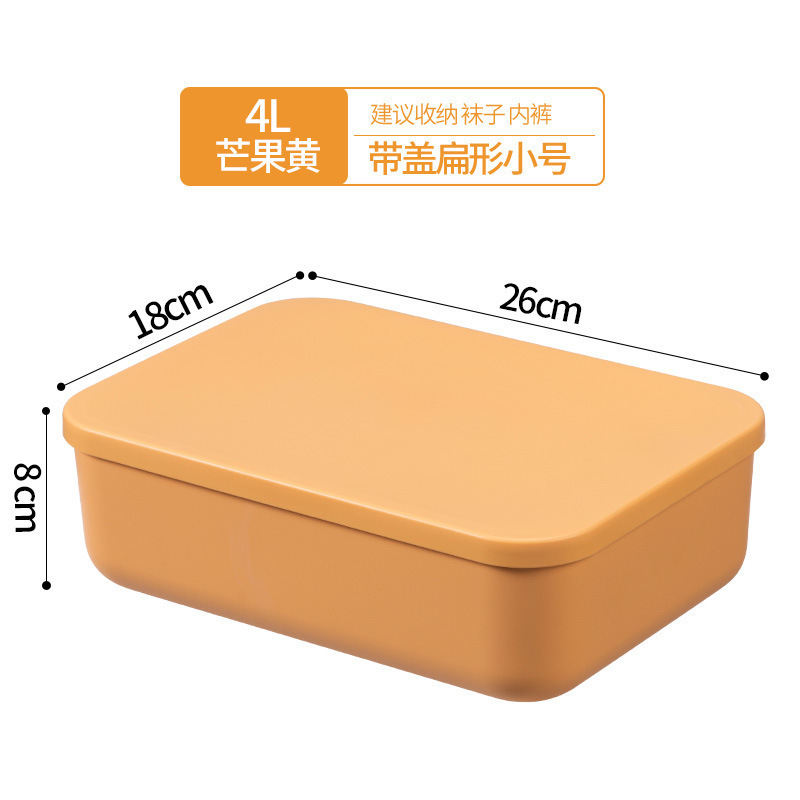 Plastic Storage Box, Large Capacity