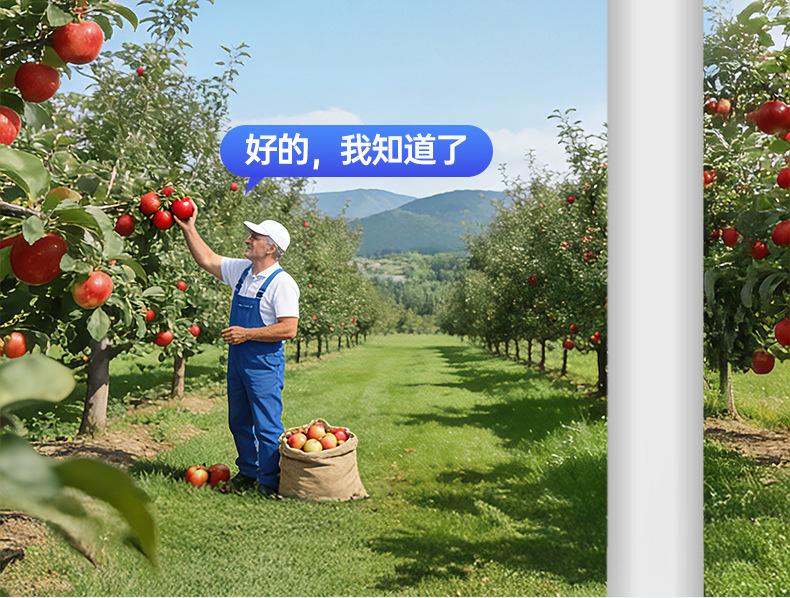 Solar surveillance camera with night vision, power-free operation