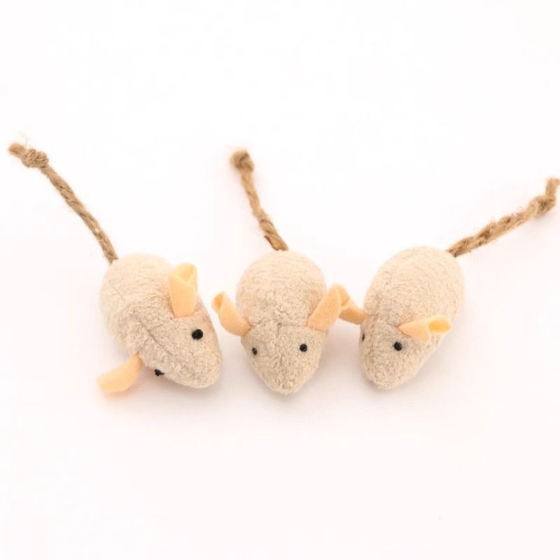 Katzenspielzeug mit Minze, niedliches Gehirn-Maus-Design