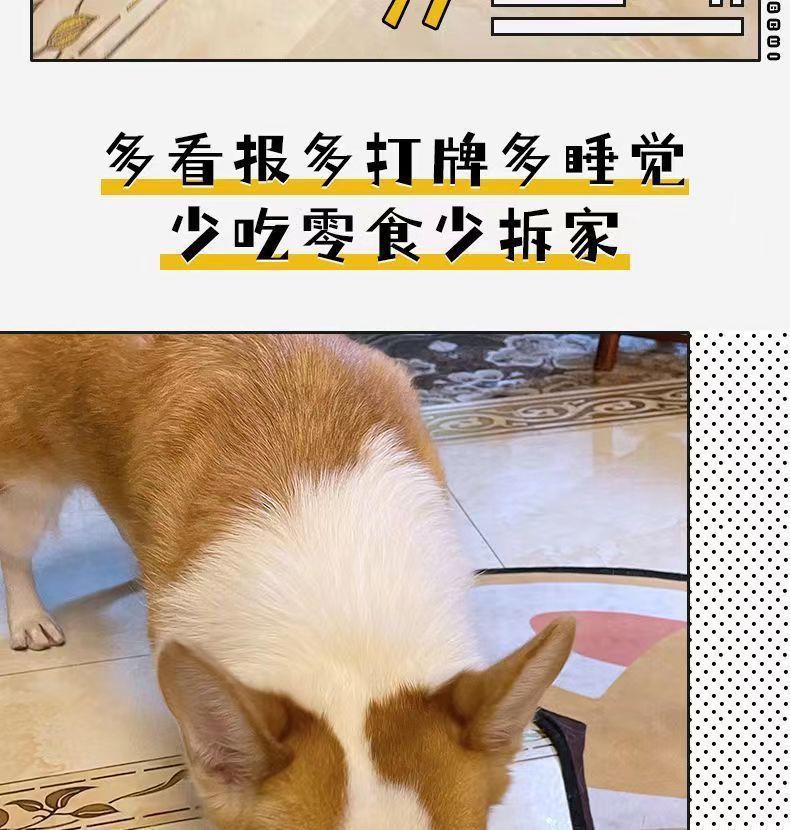 跨境宠物狗狗发声玩具耐咬磨牙自嗨解闷发声报纸响纸玩具用品