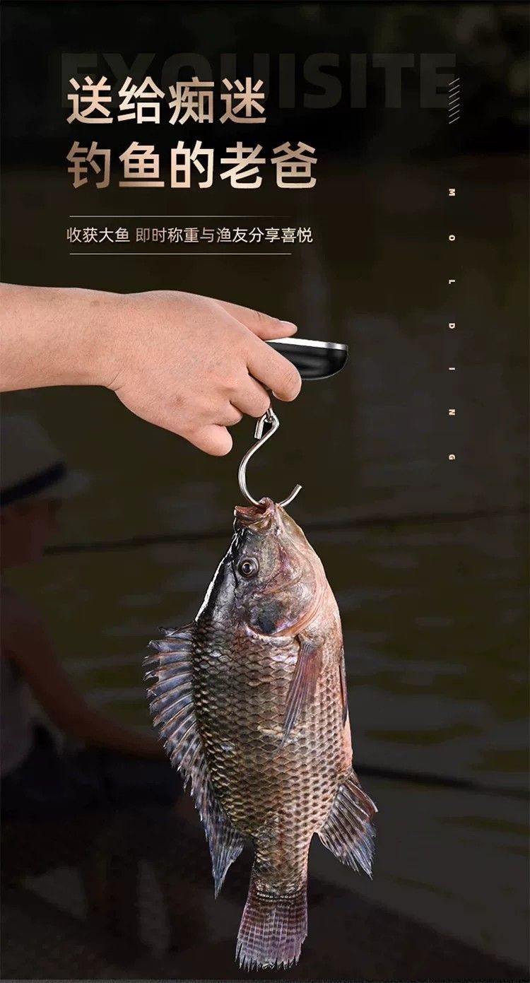 50kg electronic luggage scale high precision