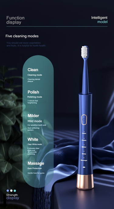 Electric Toothbrush, 8 Brush Heads, Sonic Vibration, Dual Mode