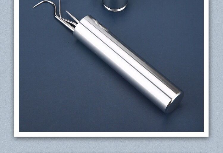 Stainless steel toothpick set, portable dental care tool