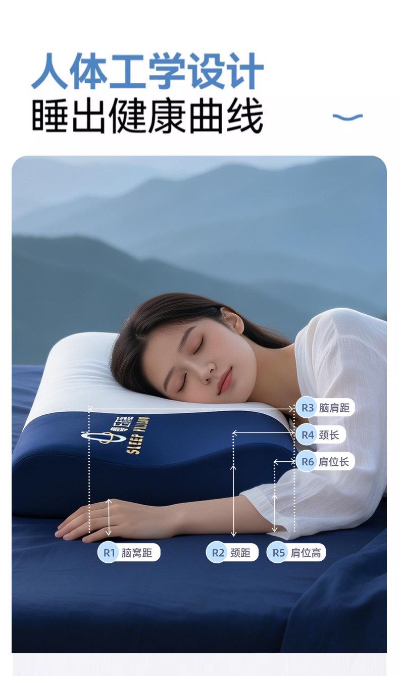 深睡记忆棉枕头成人慢回弹枕芯护颈椎助睡眠单人一只装学生宿舍枕