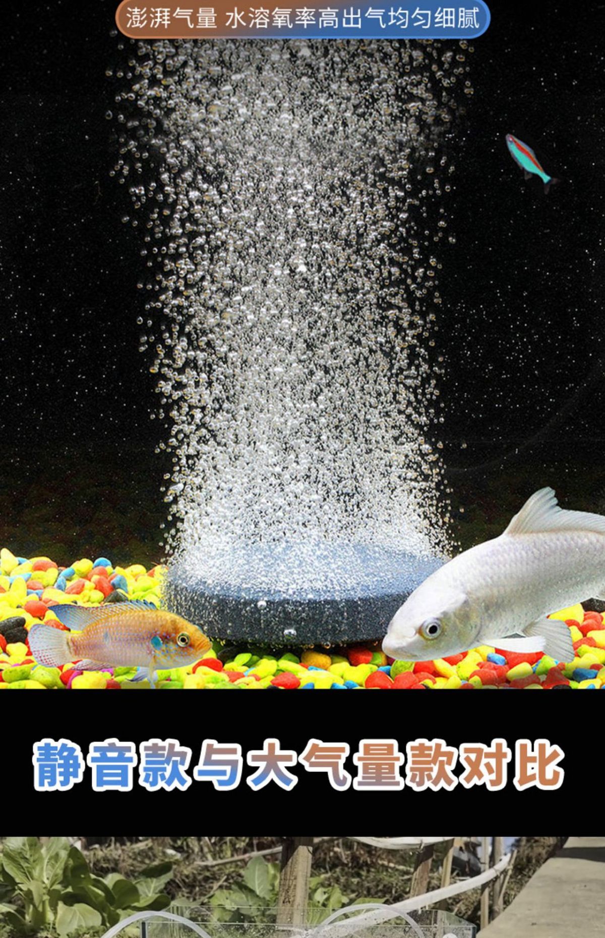 鱼池太阳能增氧气泵户外充电增加氧气泵庭院鱼缸塘养鱼小型增氧机