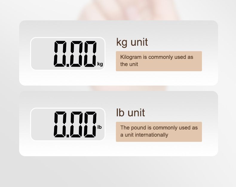 Portable Luggage Scale with Hook, High Precision
