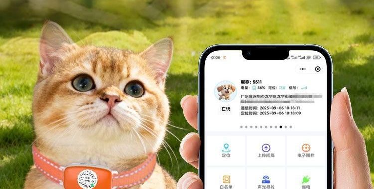 5G evcil hayvan GPS takip cihazı, su geçirmez tasma
