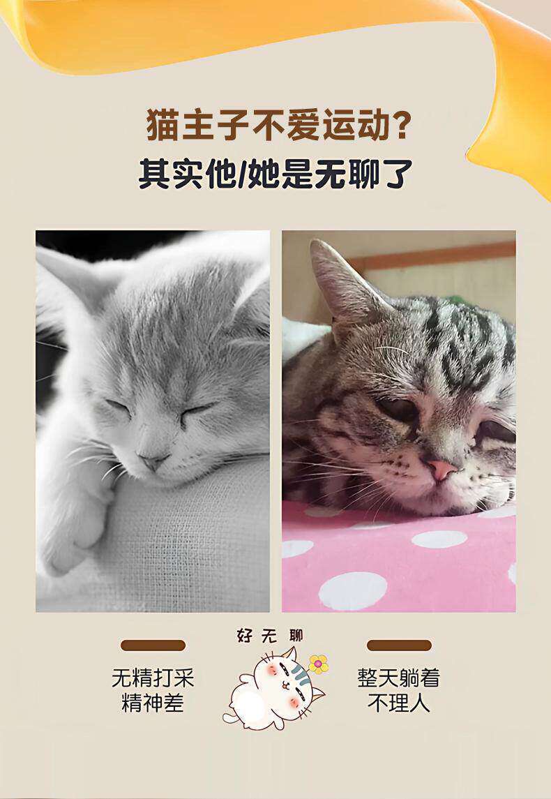 Cat toy, interactive, electric, multi-function