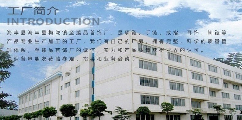 幻影蝴蝶系列项链镀白金精工高品质双重奏蝴蝶项链优雅女ins坠链