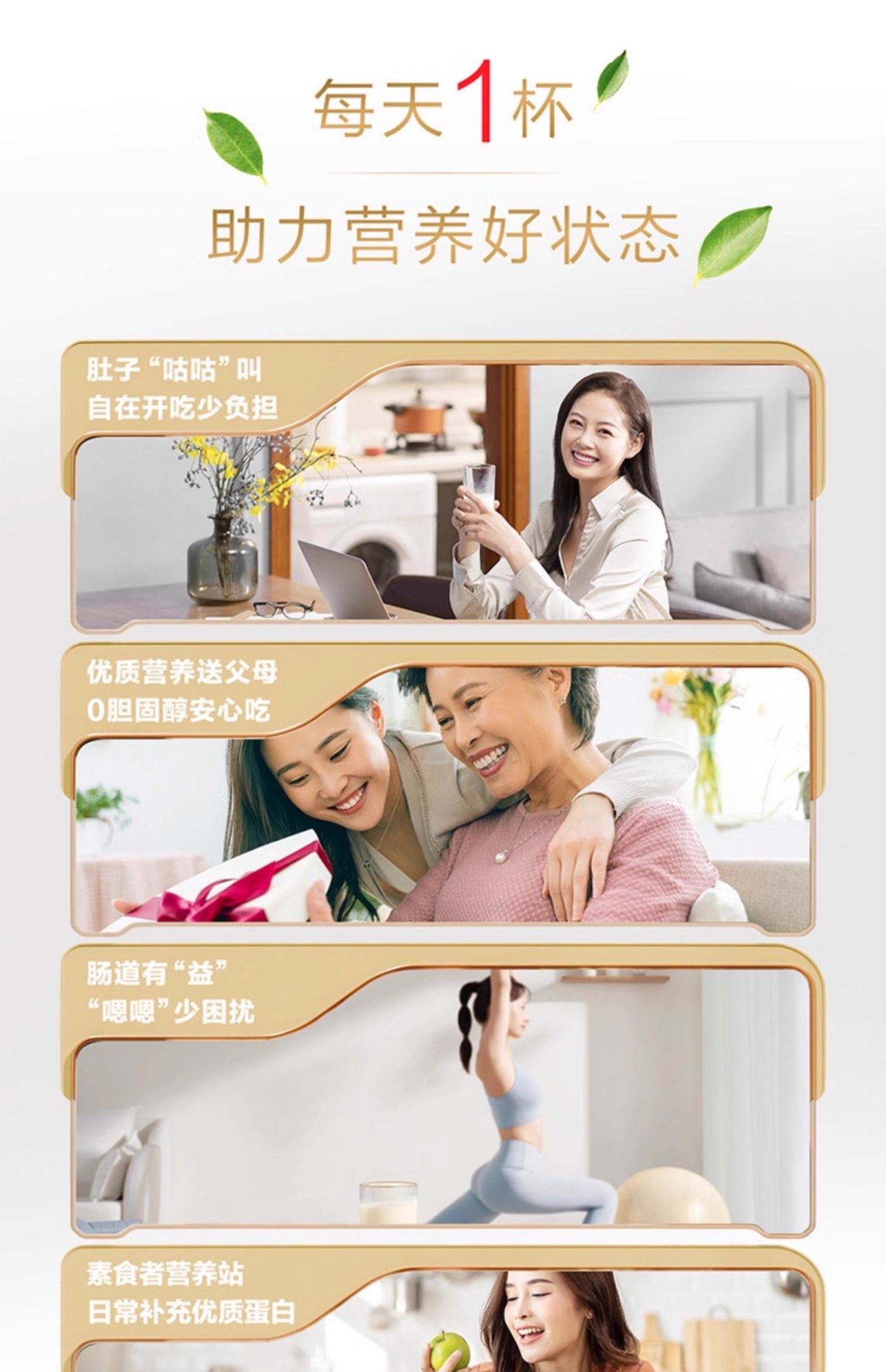 Plant protein powder soy and pea, for men and women