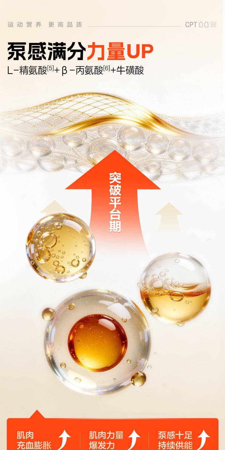 氮泵粉一水肌酸谷氨酰胺支链氨基酸耐力爆发力恢复健身补剂