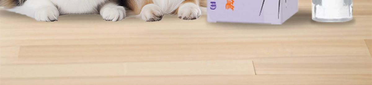 Pet dental cleaning pen with toothpaste, for cats dogs