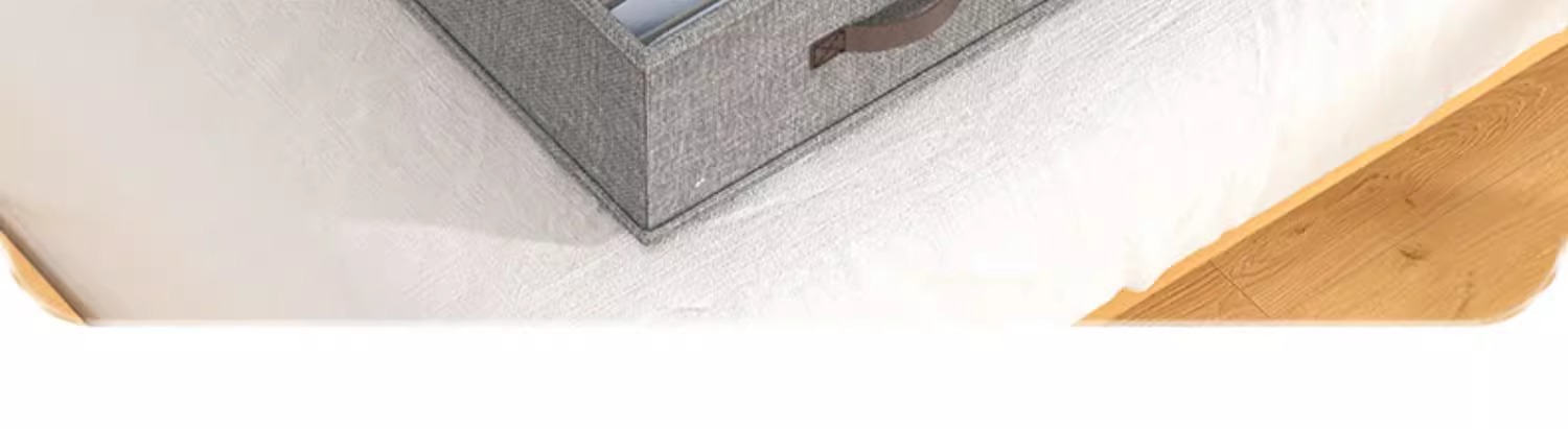 Dual-row pants storage box with layered wardrobe organizer