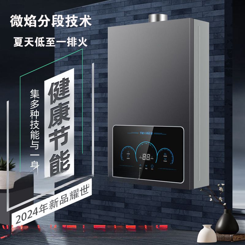 可装包邮热水器电家用洗澡强排式煤气恒温平衡式液化气天然气燃气
