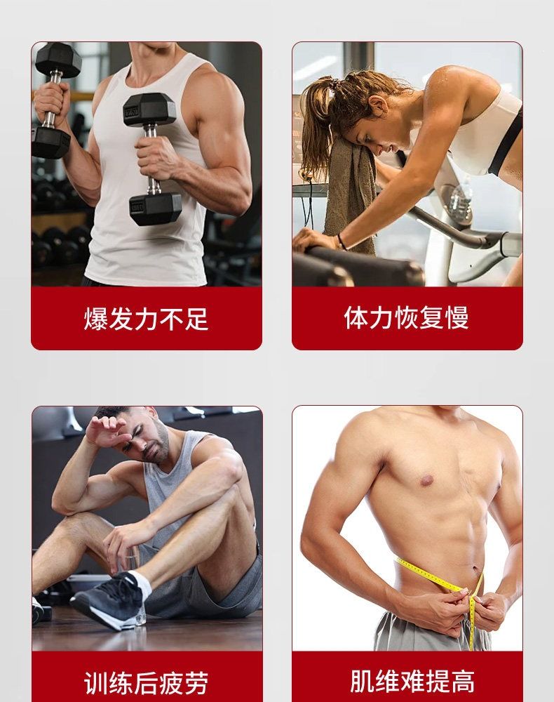Yingzhishu kreatin monohidrat 210g spor