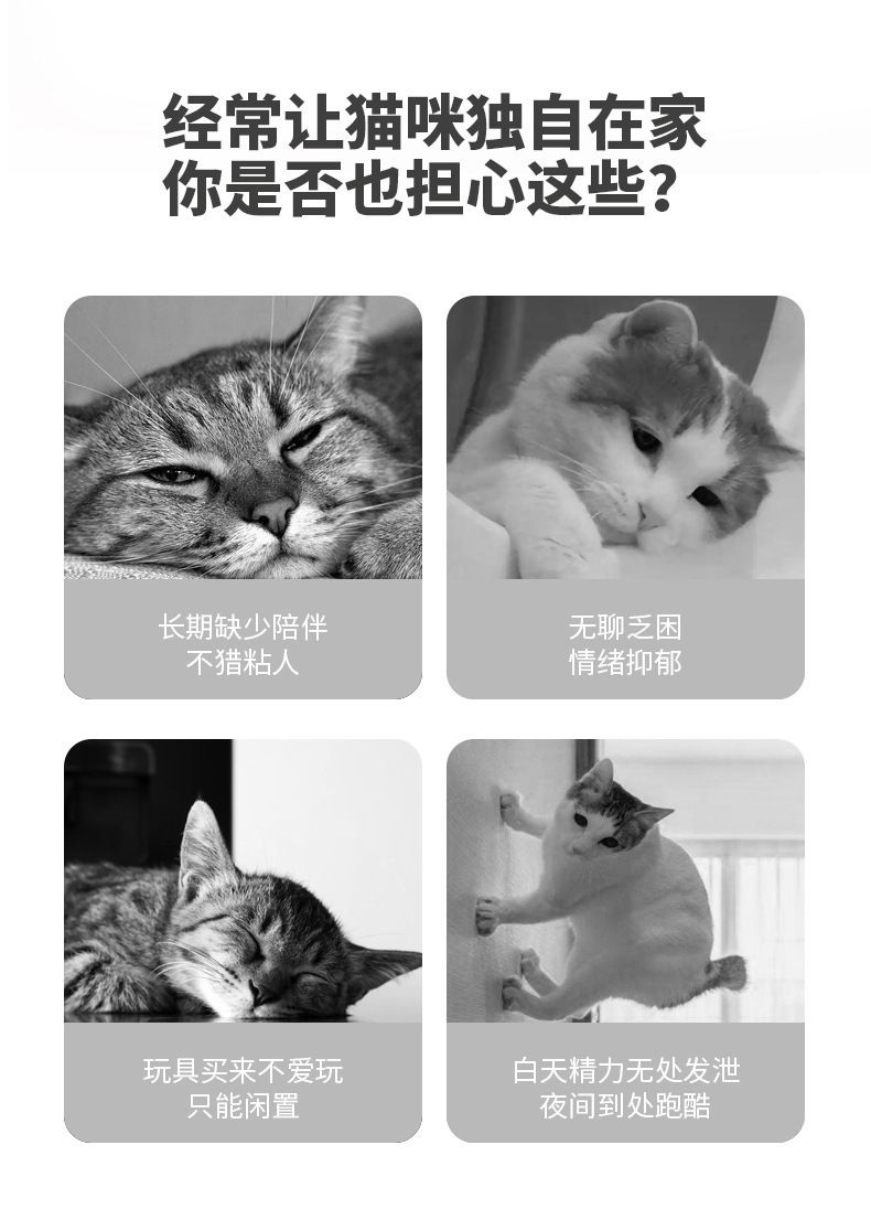 Kedi Yüzü İnteraktif Oyuncak, Naneli Top ve Işıltılı Tüy