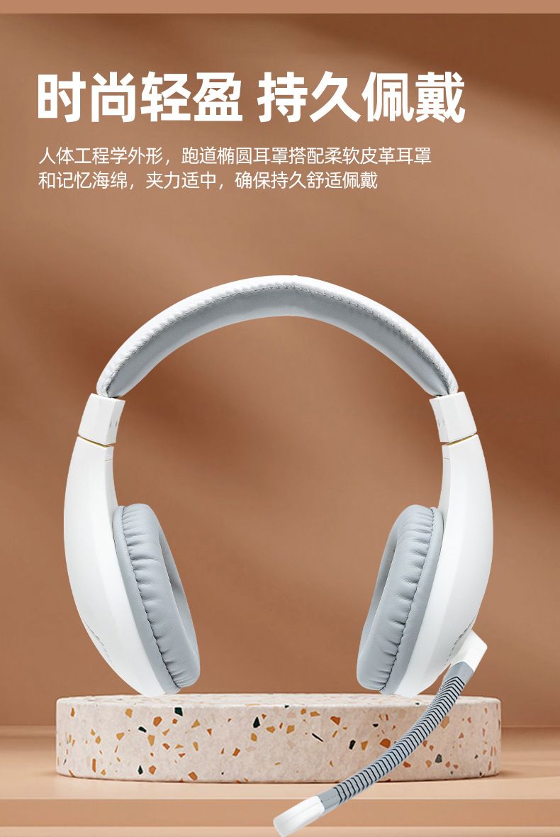 Wired Headphones with Microphone for Computer and Laptop