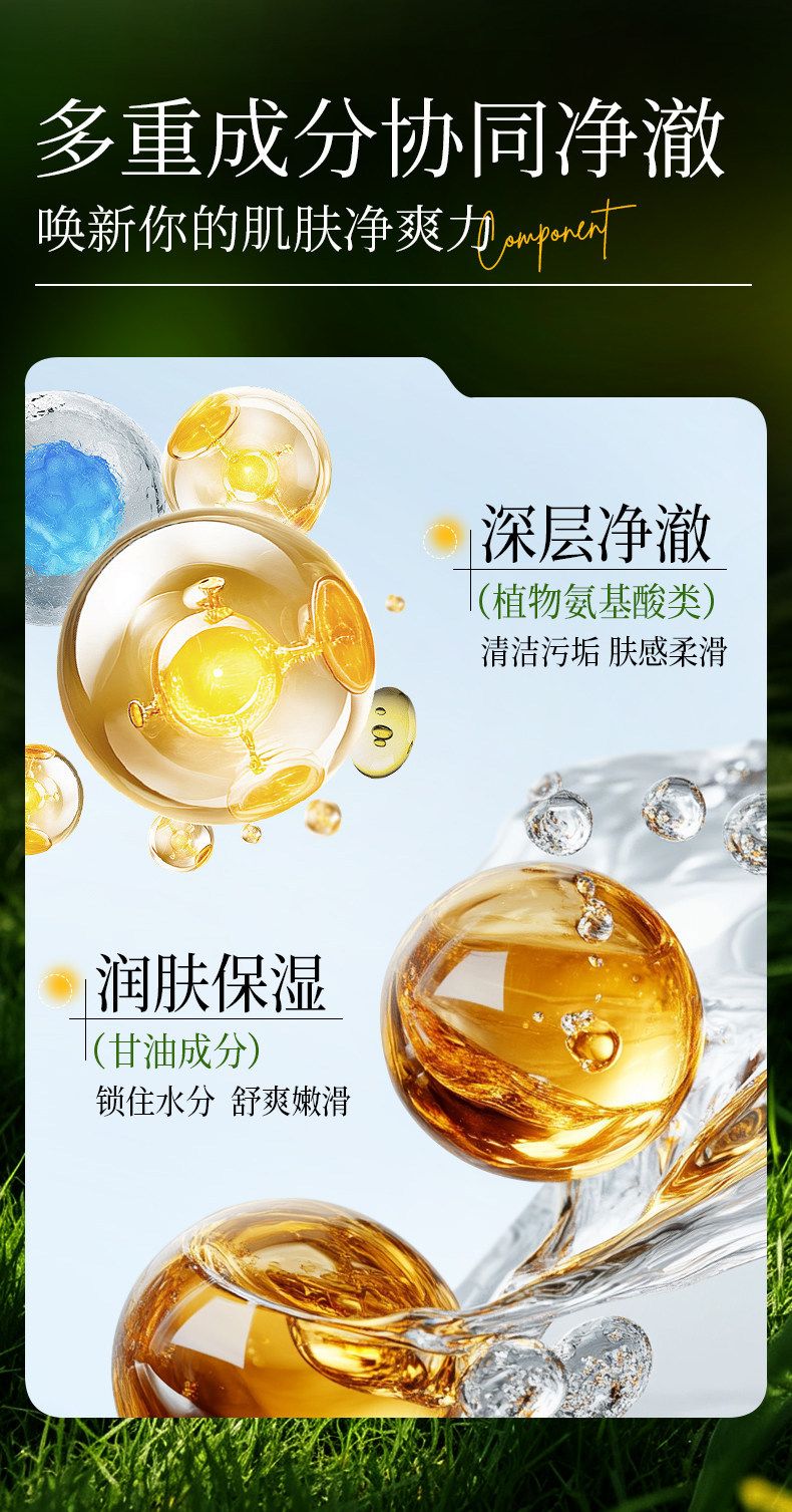 Kamelien-Shampoo 500ml mit Weiße Tee-Set