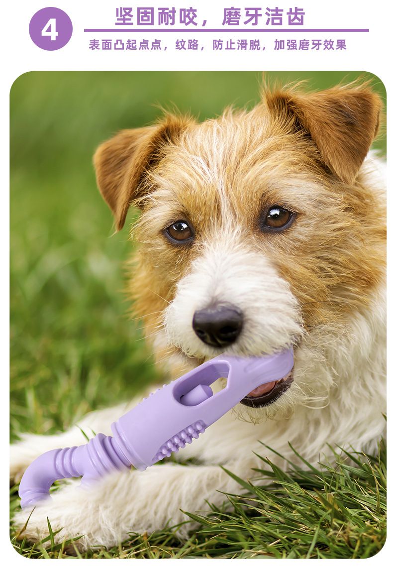 Dönerli kemik şekli köpek oyuncağı beslenme tutuşu