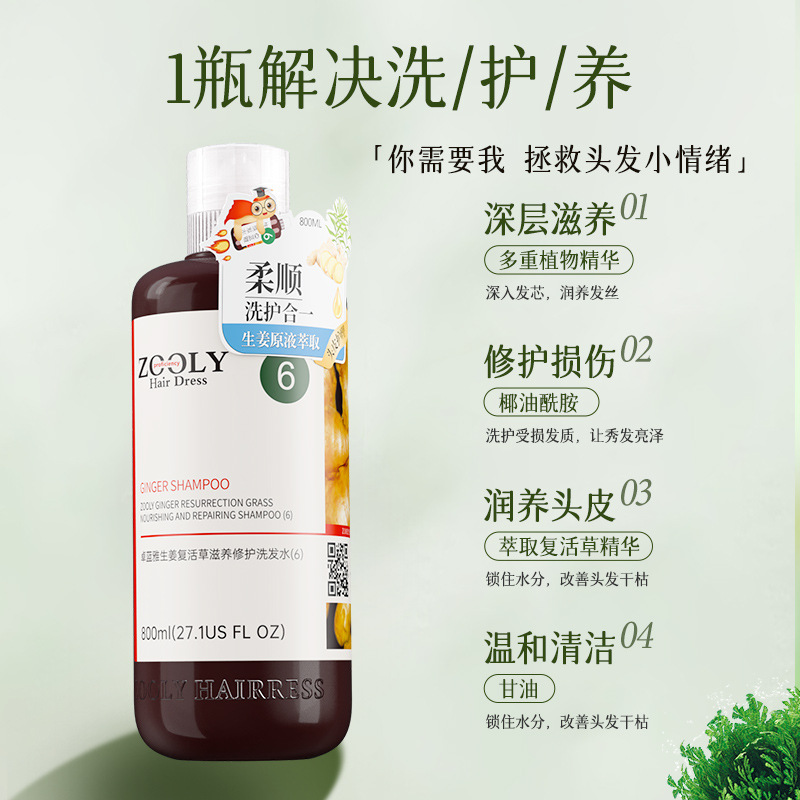 Zhuolan Ya Ingwer Shampoo Nährend Reparatur