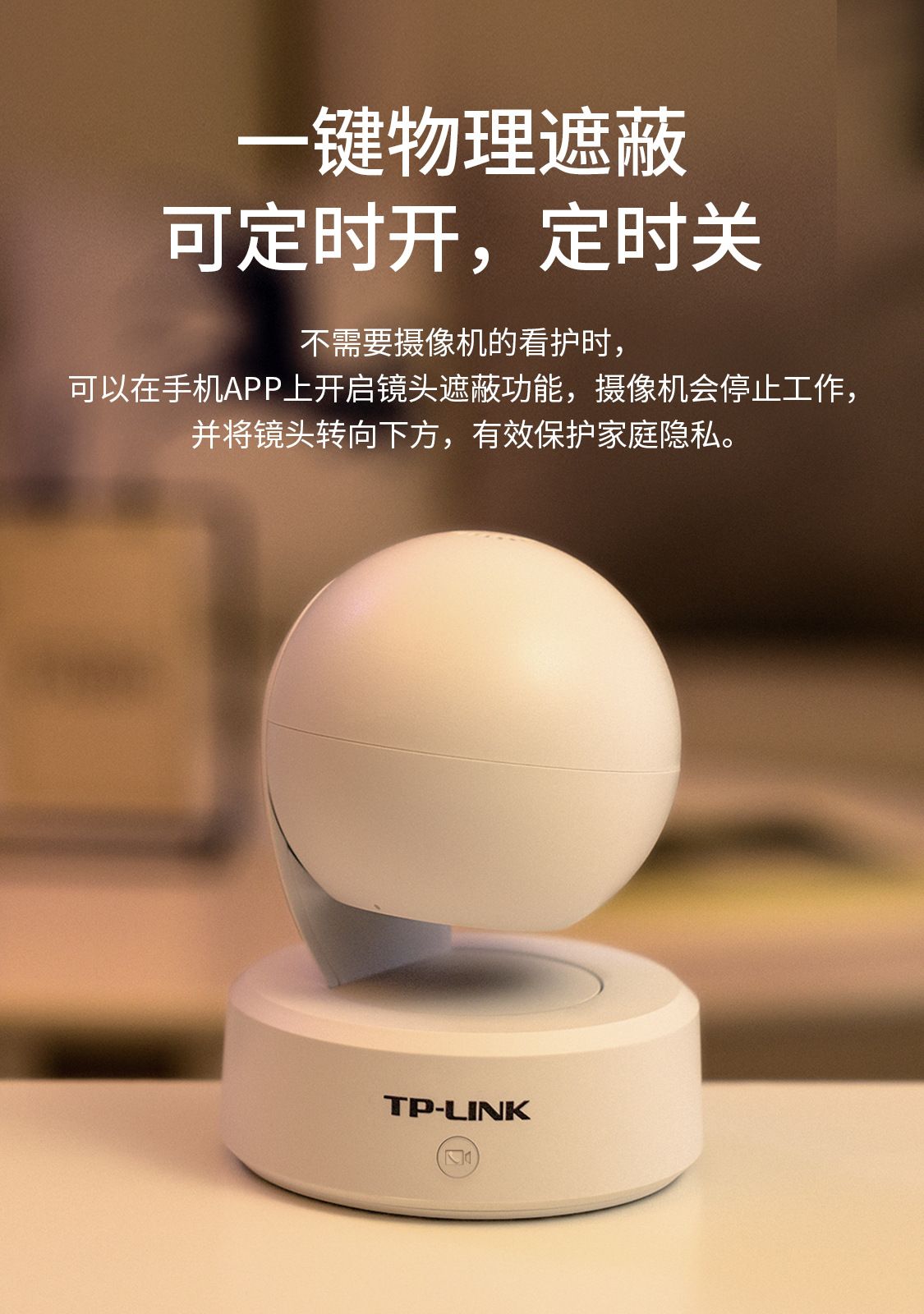 TP-Link 4 MP kablosuz PTZ kamera IPC44CL-V2