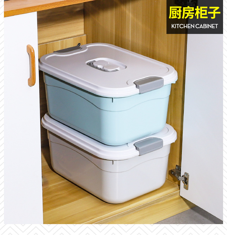 Plastic Storage Box with Lid Extra Large Portable