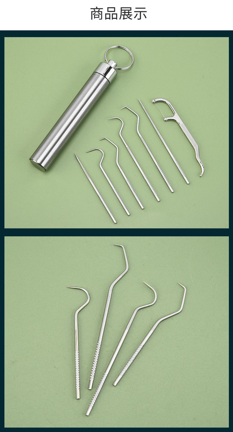 Stainless steel toothpick set with portable storage case