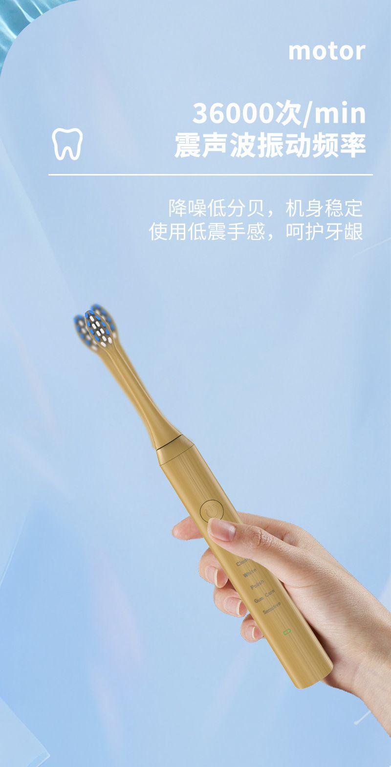 Sonic electric toothbrush, bamboo, inductive charging