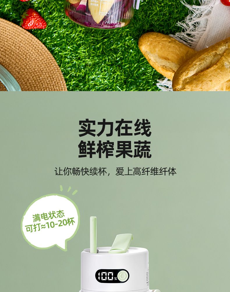 Fruit juicer, portable, large capacity