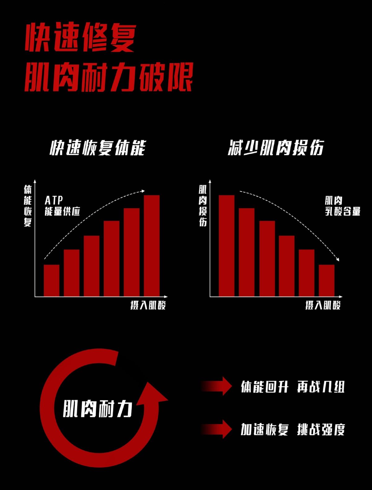 sparklevita湃力维肌酸锌镁一水肌酸粉运动健身补剂增肌爆发耐力