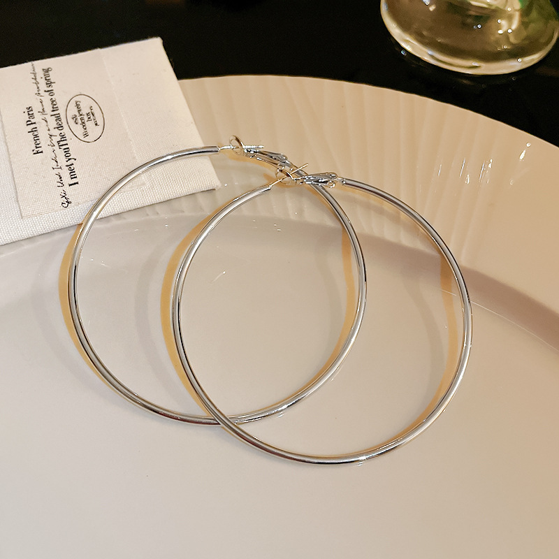 Silbernadel-Kreisohrring, minimalistisches Design