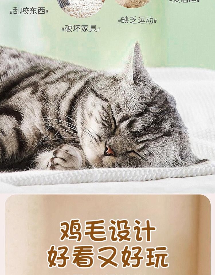 Cat elastic ball toy with feathers and bells
