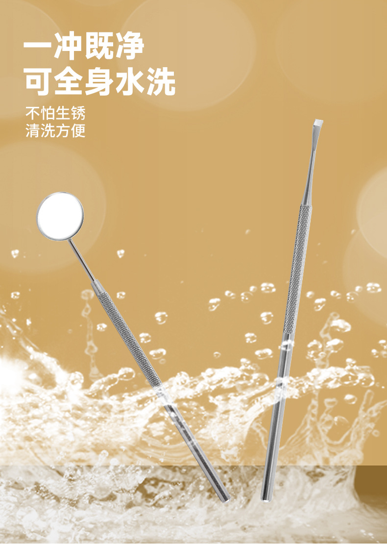 Stainless Steel Dental Cleaning Tool Set