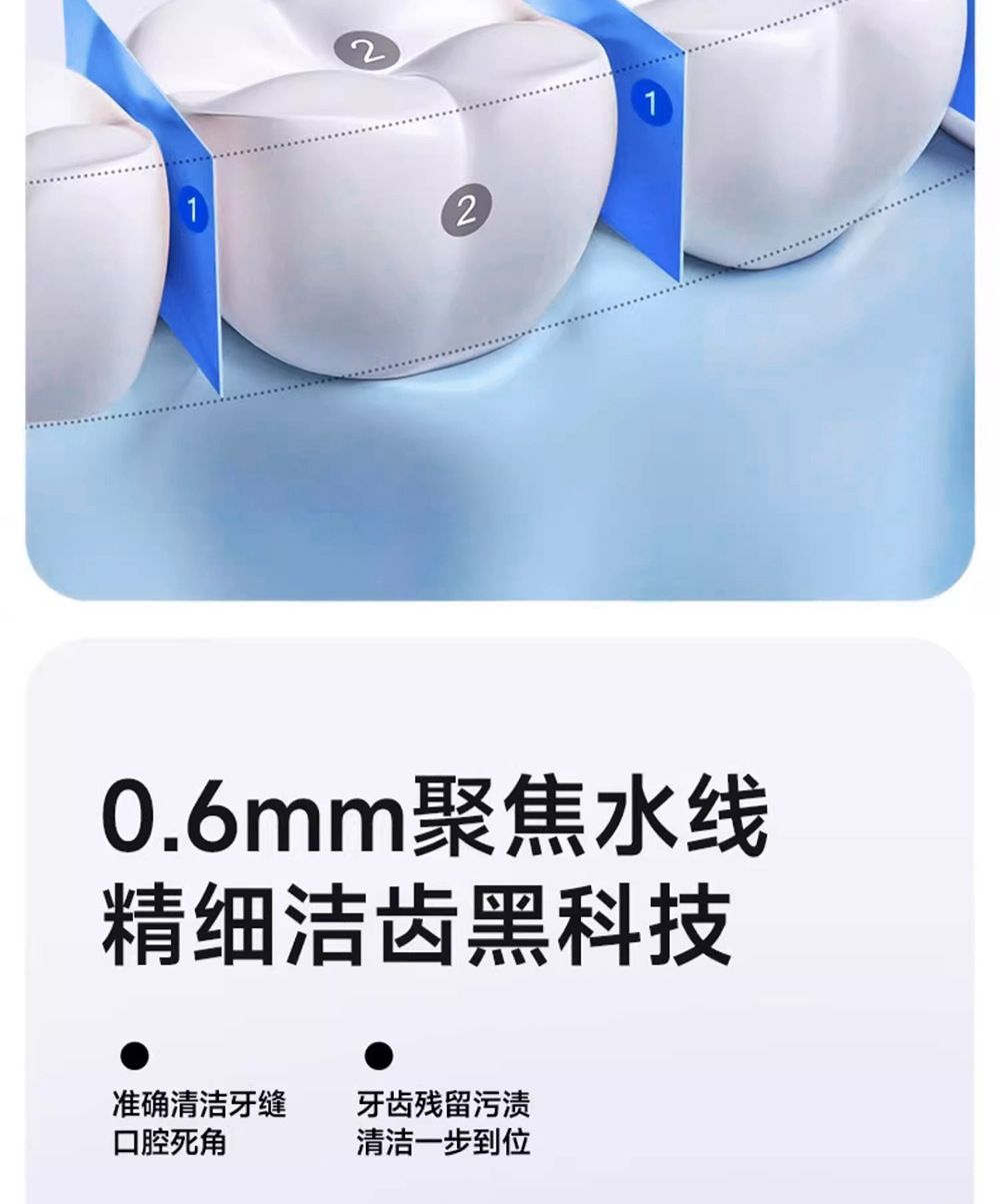 浦若飞电动冲牙器 便携式300ML家用口腔清洁牙齿专用洁牙器水牙线