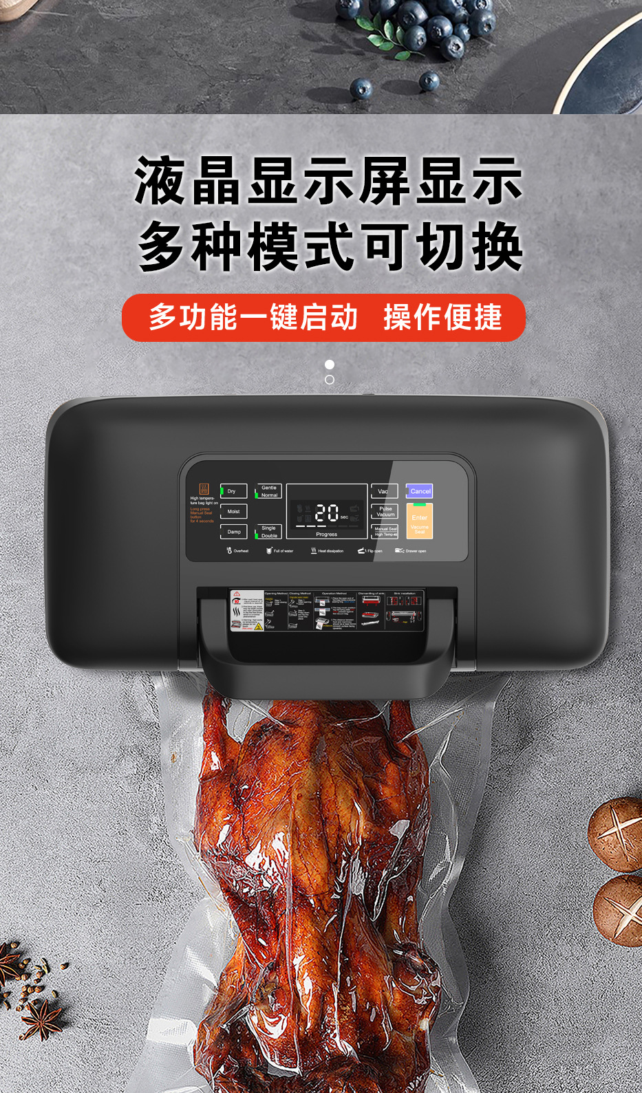 SV639 vacuum sealing machine, dry and wet seal, medium size