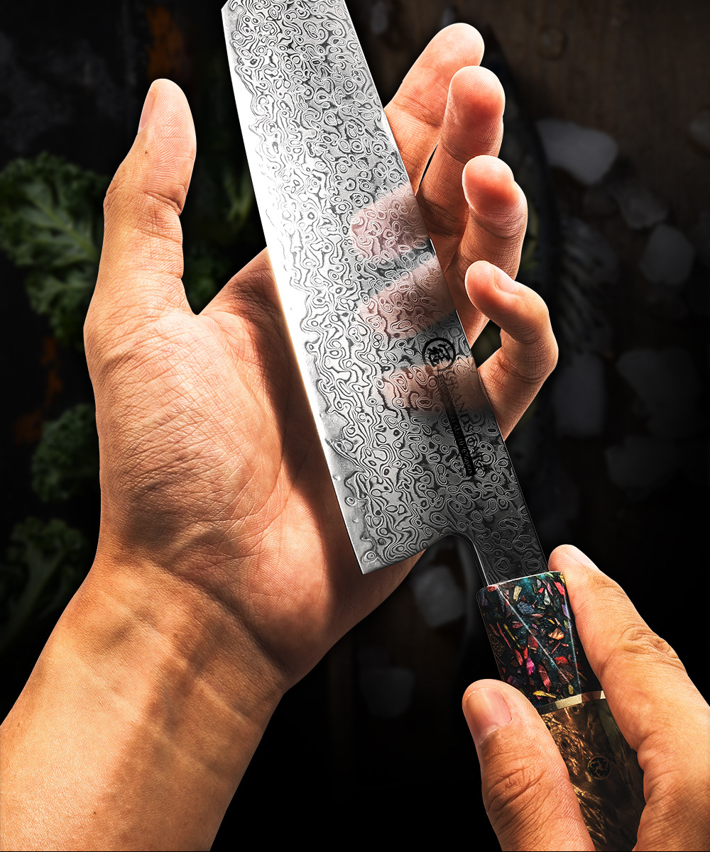 67-schichtiges Damaszener-Messer mit japanischem AUS-10-Stahl, Holzgriff