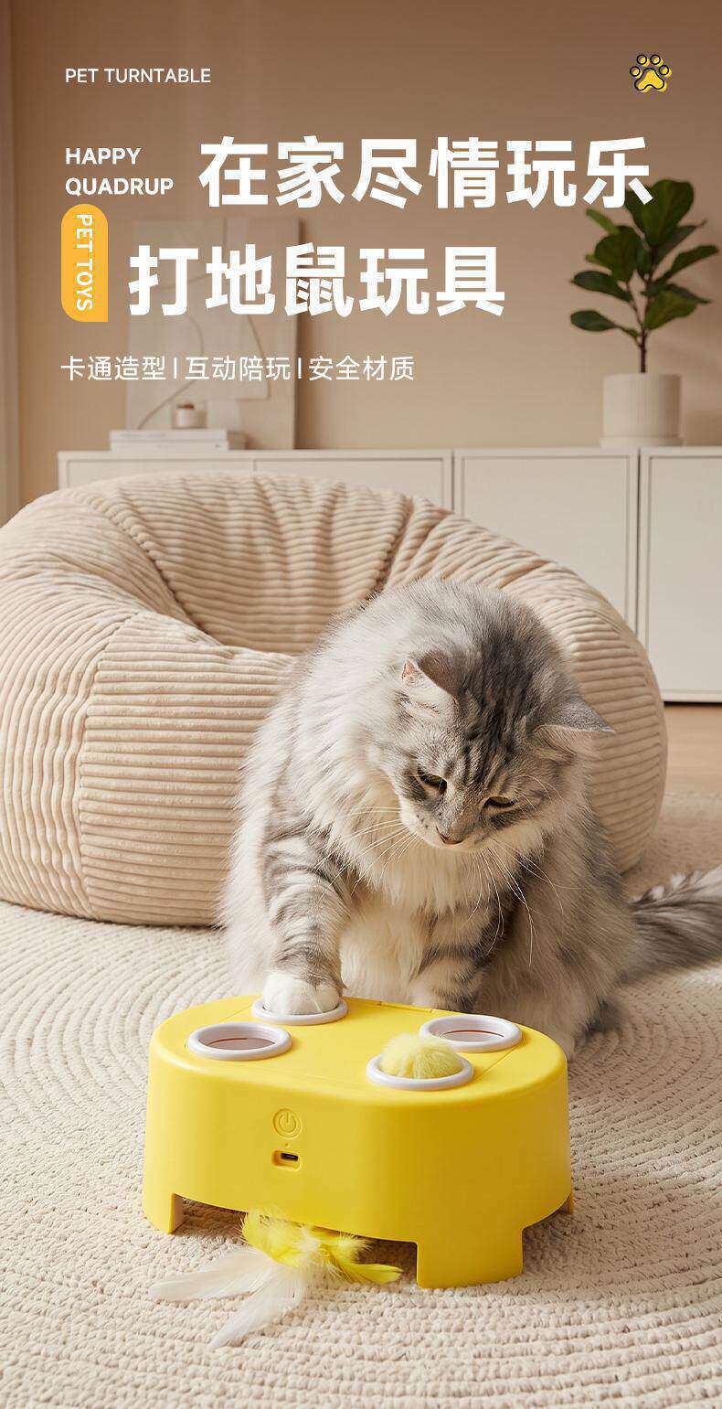Cat toy, interactive, electric, multi-function