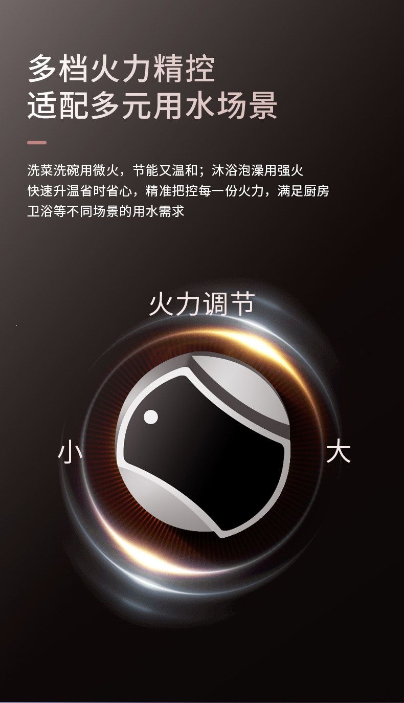 贤妻好太太燃气热水器家用煤气低水压强排电池平衡液化气热水器