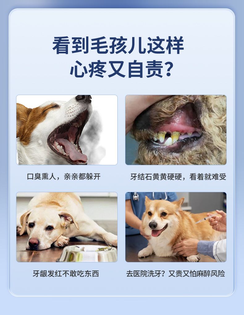 狗狗牙结石去除器宠物超声波洗牙机猫咪牙齿清洁工具小洁牙仪