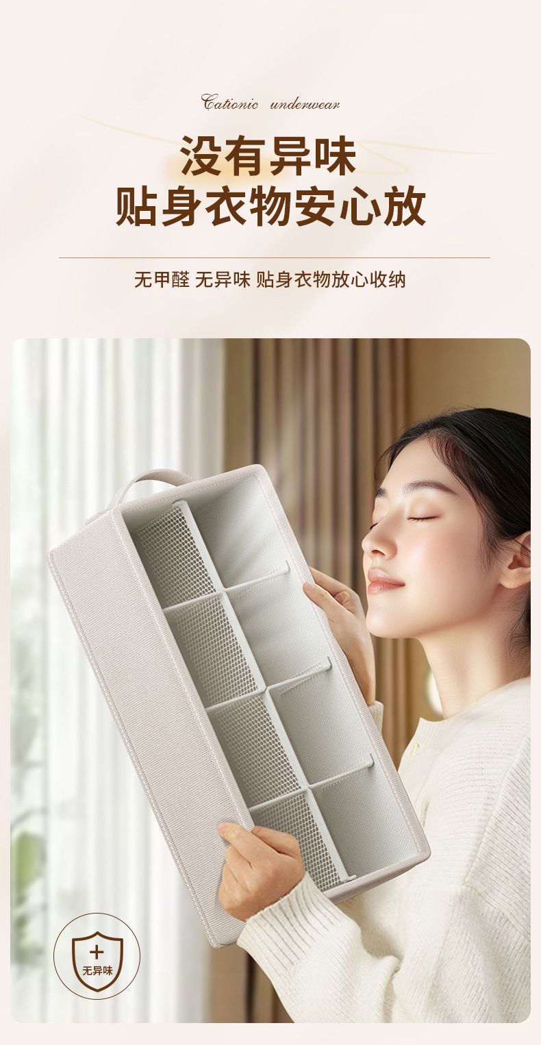 Lingerie storage box with compartments for socks and bras