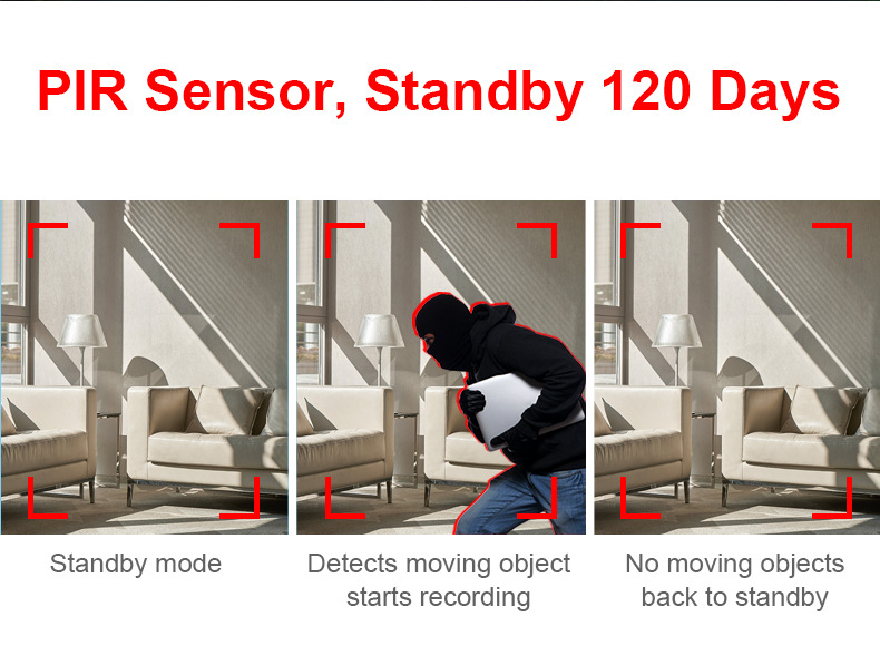 MD31 MD29 1080P camera with PIR sensor night vision